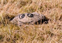 stone